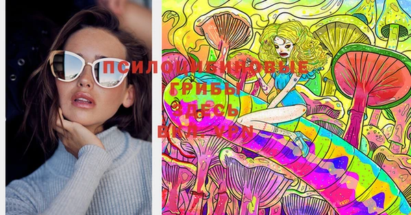 МДПВ Володарск