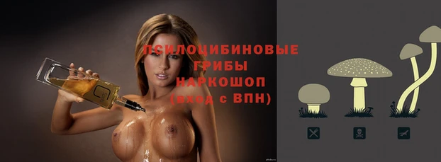 сатива Волосово