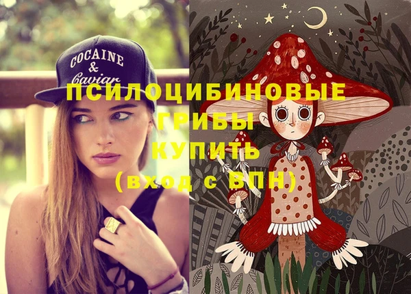 МДПВ Володарск